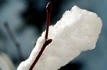 Hiver
